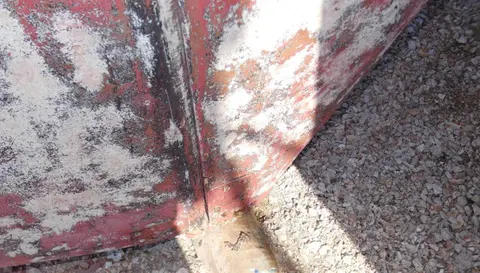 survey-image